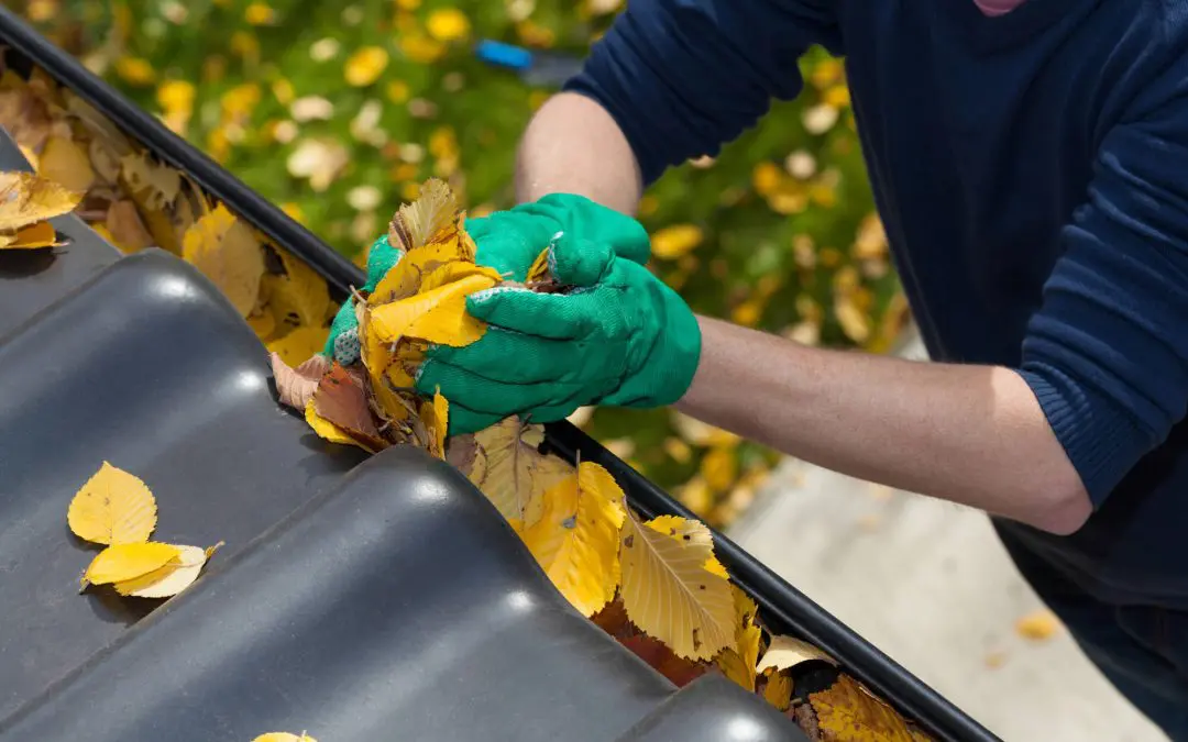 Cleaning Your Gutters
