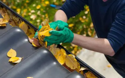 Clear the Way: How Cleaning Your Gutters Protects Your Home Year-Round