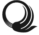Quantum logo icon